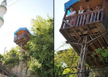 Elektrik Direğine Kulübe Yaptı