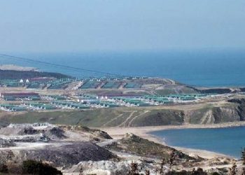 Hayvan Barınağı projesine iptal kararı