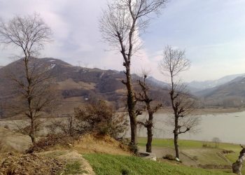 Baraj göletleri çevresi ağaçlandırılacak