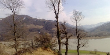 Baraj göletleri çevresi ağaçlandırılacak