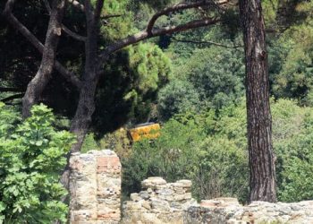 Cengiz İnşaat’ın iş makineleri Fethi Paşa Korusu’nda