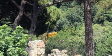 Cengiz İnşaat’ın iş makineleri Fethi Paşa Korusu’nda