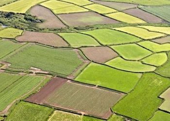 Miras Kalan Tarım Arazileri İçin İntikal Başvuruları 30 Ağustos’ta Sona Eriyor