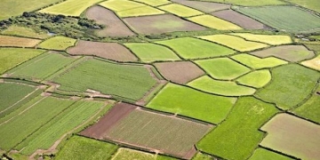 Miras Kalan Tarım Arazileri İçin İntikal Başvuruları 30 Ağustos’ta Sona Eriyor