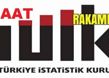 İnşaat Sektörünün 2017 Yılı TÜİK Verileri