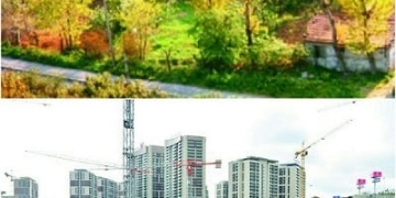 İki Fotoğraf Arasındaki Farkları Değil, Benzerlikleri Bulun!