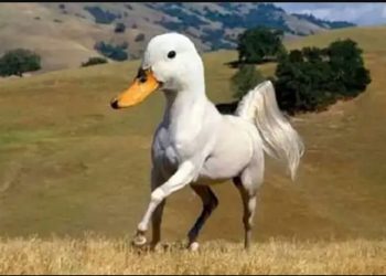 Dünyaca Ünlü Şirketlerin İş Mülakatlarında Sorduğu İlginç Sorular