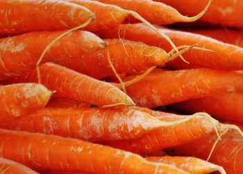 Daha Güçlü Beton İçin Havuç!