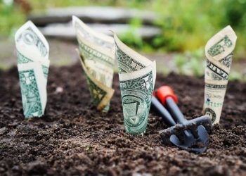 Dolar Artışı İnşaat Sektörünü Nasıl Etkiliyor?