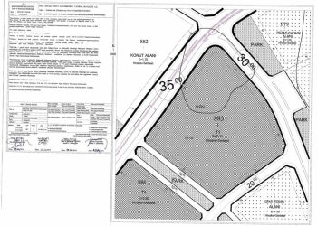 Ruhsat Öncesi Süreçler Nelerdir?