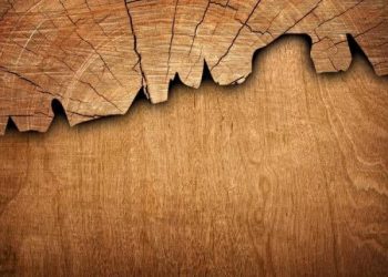 Mükemmel Bir Yapı Malzemesi – Ahşap