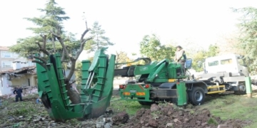 Okul Yapılacak Alandaki Ağaçlar Taşındı
