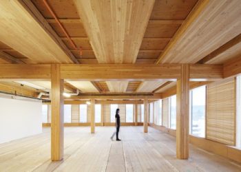 Ahşap Gökdelen Nedir?