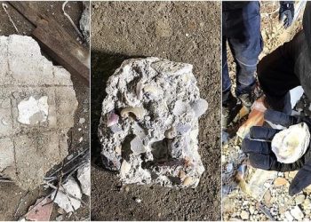 Deniz Kumu ve Betonun Mukavemetine Etkisi