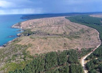 Sinop Nükleer Santral Projesi Durdu