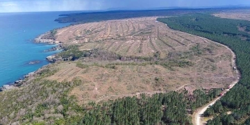 Sinop Nükleer Santral Projesi Durdu