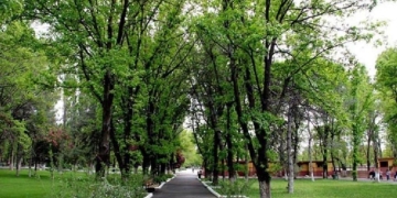 Atatürk Orman Çiftliği Arazileri Tekrar Kiralanıyor