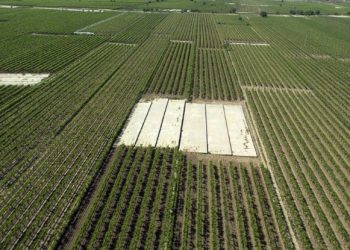 Alaşehir Ovası DSİ’nin Yeni Projesi İle Daha Etkin Olacak