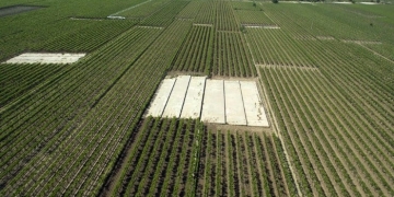 Alaşehir Ovası DSİ’nin Yeni Projesi İle Daha Etkin Olacak