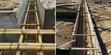 Çelikten Bile Daha Güçlü Bir Bitki – Bambu Nedir?