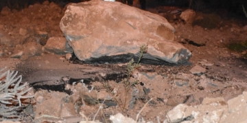 Tapulu arazim’ deyip asfaltın ortasına zeytin fidanı dikti