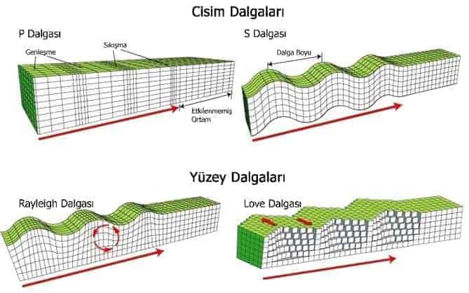 Deprem Dalgaları ve Türleri