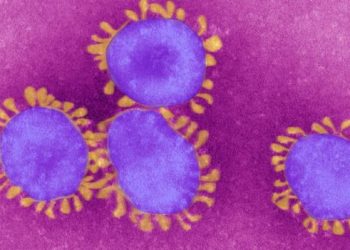 Son Zamanların Salgını Koronavirüs ve İnşaat Sektörüne Olası Etkileri