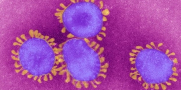 Son Zamanların Salgını Koronavirüs ve İnşaat Sektörüne Olası Etkileri