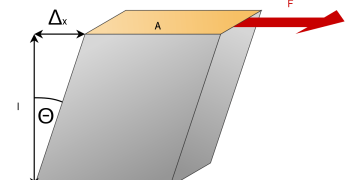 Rijitlik Nedir? Rijitlik Neden Önemlidir?