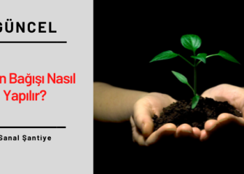 Fidan Bağışı Nasıl Yapılır?