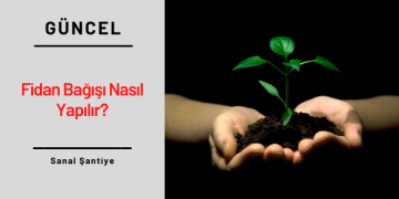 Fidan Bağışı Nasıl Yapılır?