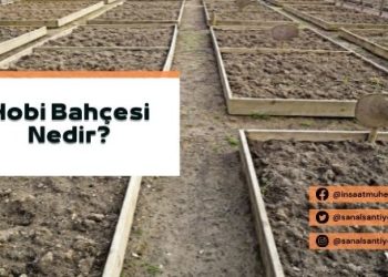 Hobi Bahçesi Nedir?