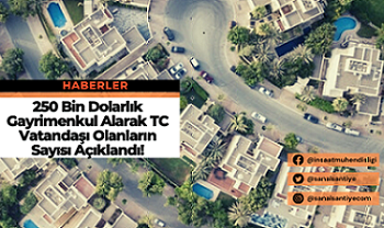 250 Bin Dolarlık Gayrimenkul Alarak TC Vatandaşı Olanların Sayısı Açıklandı!