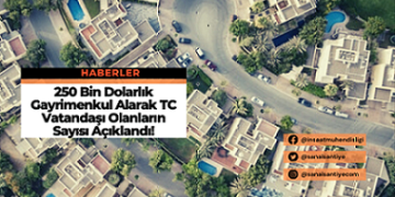 250 Bin Dolarlık Gayrimenkul Alarak TC Vatandaşı Olanların Sayısı Açıklandı!
