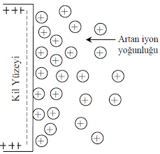 Zemin Türleri ve Yapısal Özellikleri