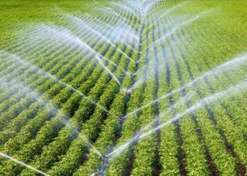 Yağmurlu Sulama Sistemi Nedir?