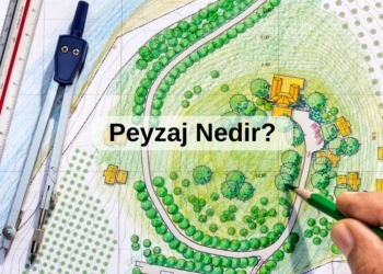 Peyzaj Nedir? Peyzaj Tasarımının Temel İlkeleri