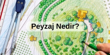 Peyzaj Nedir? Peyzaj Tasarımının Temel İlkeleri