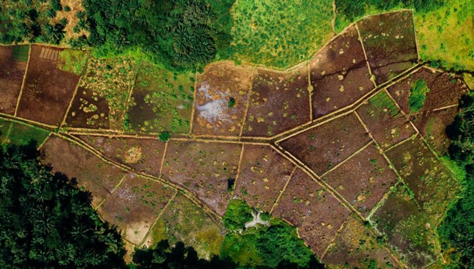 Topraktan Ev Almanın Tercih Edilme Nedenleri ve Avantajları