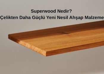 Superwood Nedir? Çelikten Daha Güçlü Yeni Nesil Ahşap Malzeme